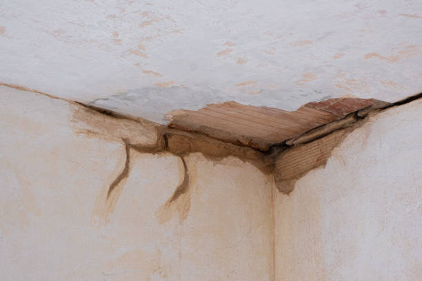 Best Commercial Water Damage Restoration in South Valley, NM