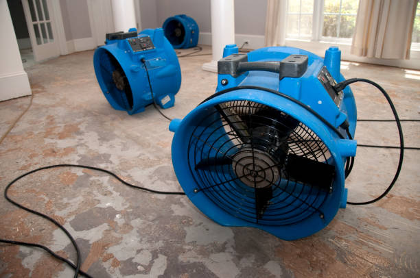 Trusted Water Damage Restoration in South Valley, NM | Fast, Reliable, and Ready to Assist You